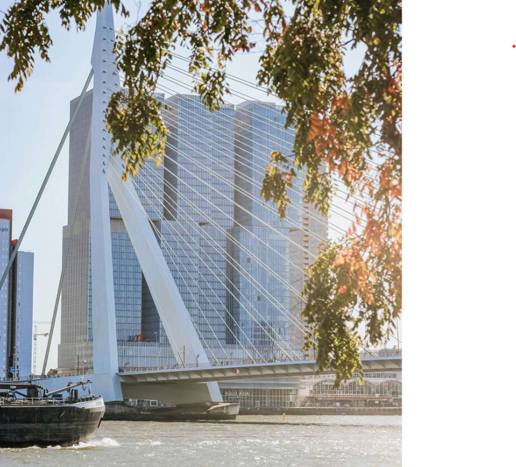 Als consultancypartner helpt VertX gemeenten om sterker van binnen te worden. Projecten | Processen | Data