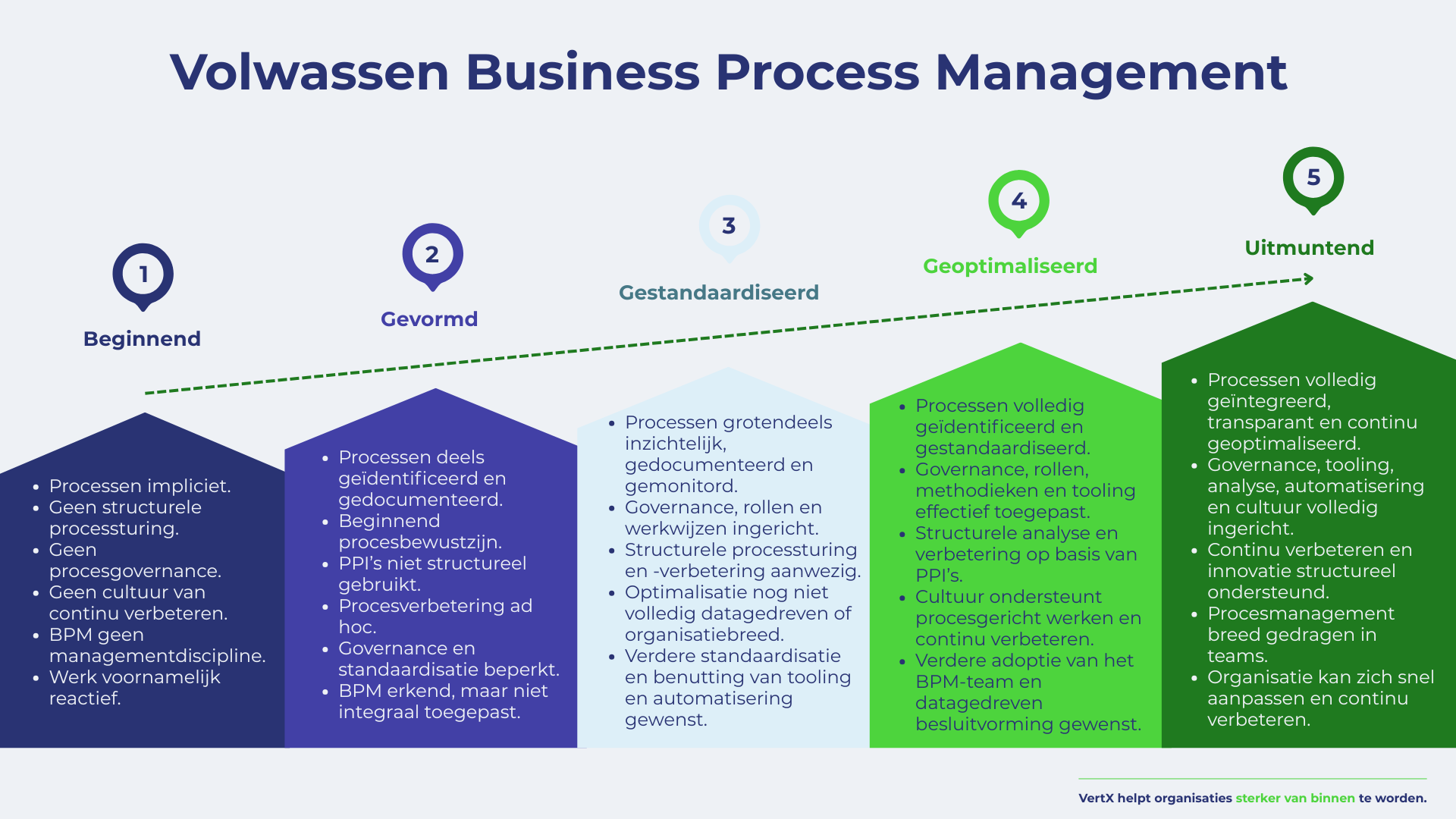 Volwassen Business Process Management